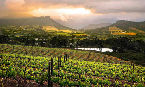 Franschhoek Holiday Property Management