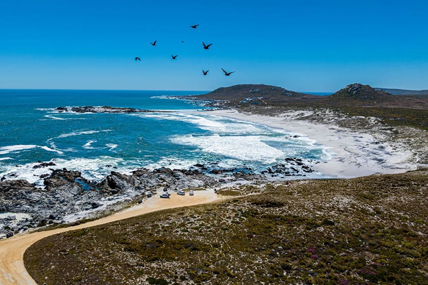 West Coast Airbnb Property Management - Host Agents