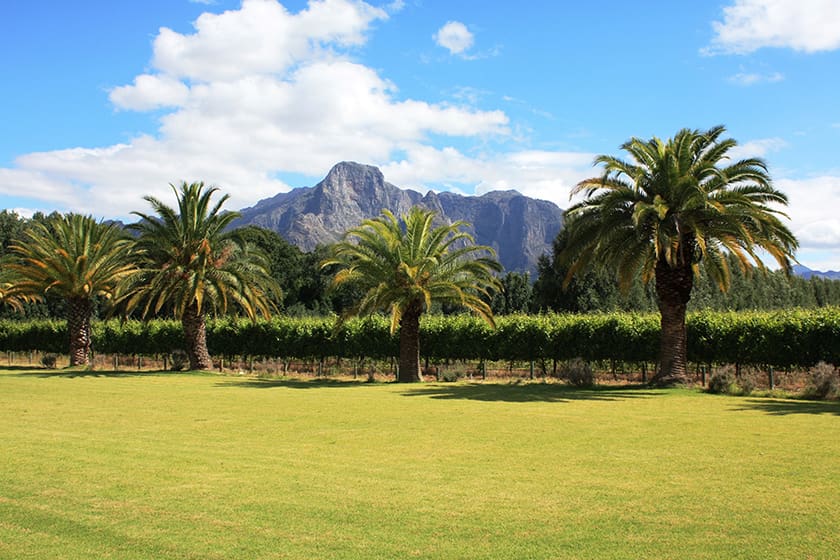 Property Management in Franschhoek